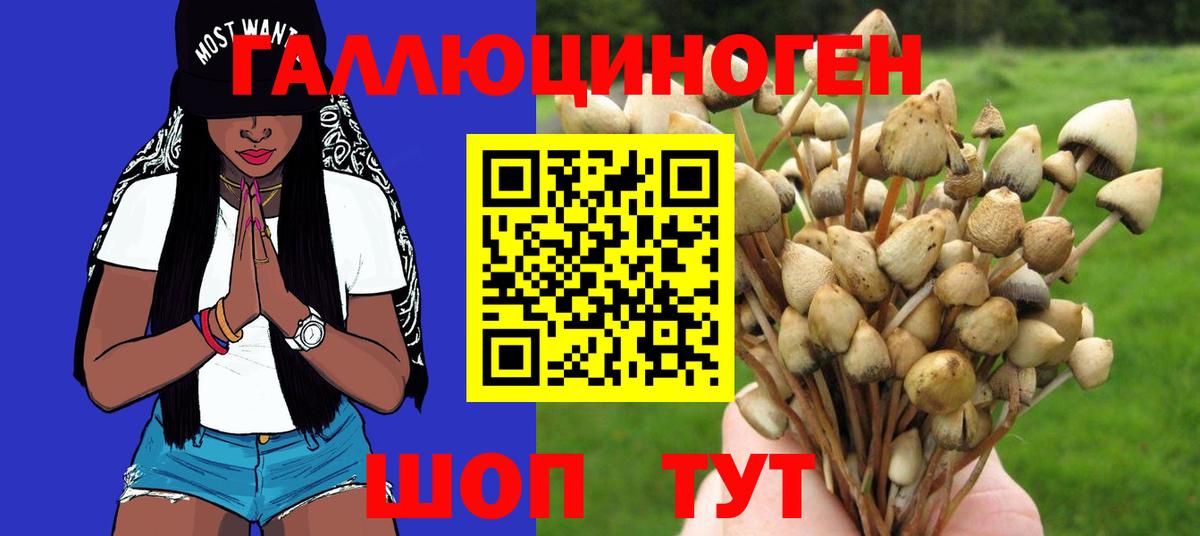Псилоцибиновые грибы MAGIC MUSHROOMS  Вход с VPN  Псилоцибиновые грибы Psilocybine cubensis  Елабуга 