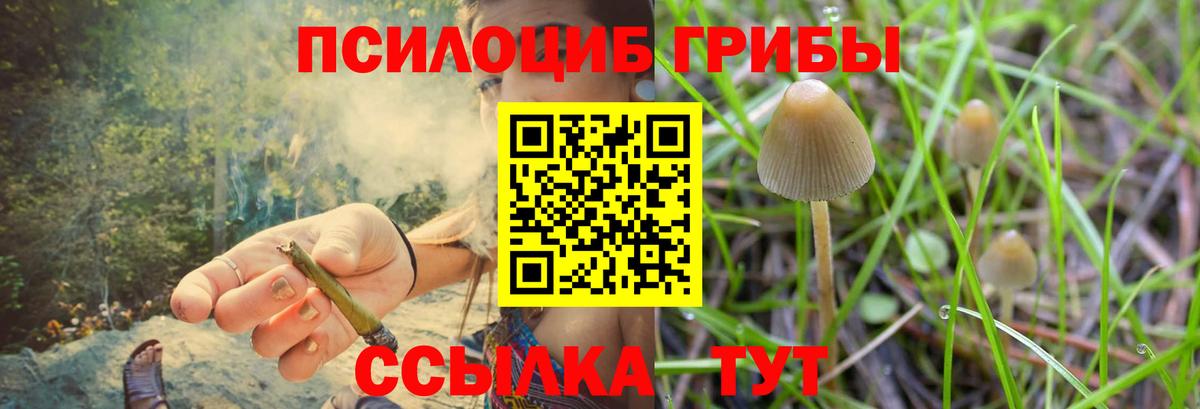 Галлюциногенные грибы ЛСД Елабуга